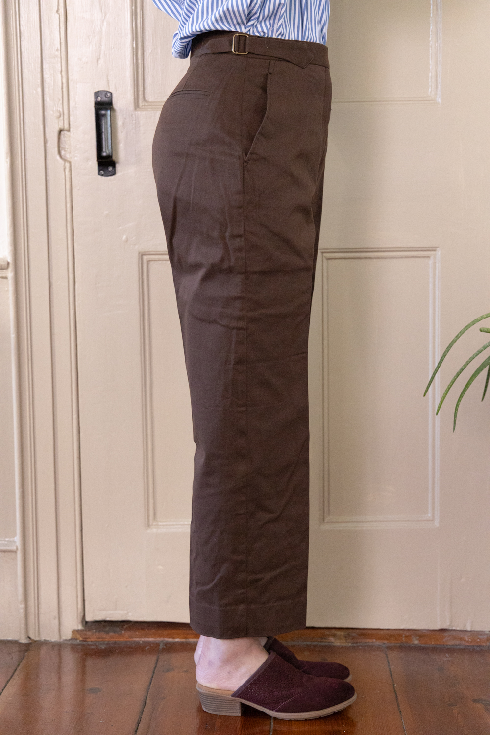 COFFEE STRAIGHT PANTS IN BRUSHED COTTON TWILL 3 COFFEE STRAIGHT PANTS IN BRUSHED COTTON TWILL - Image 3