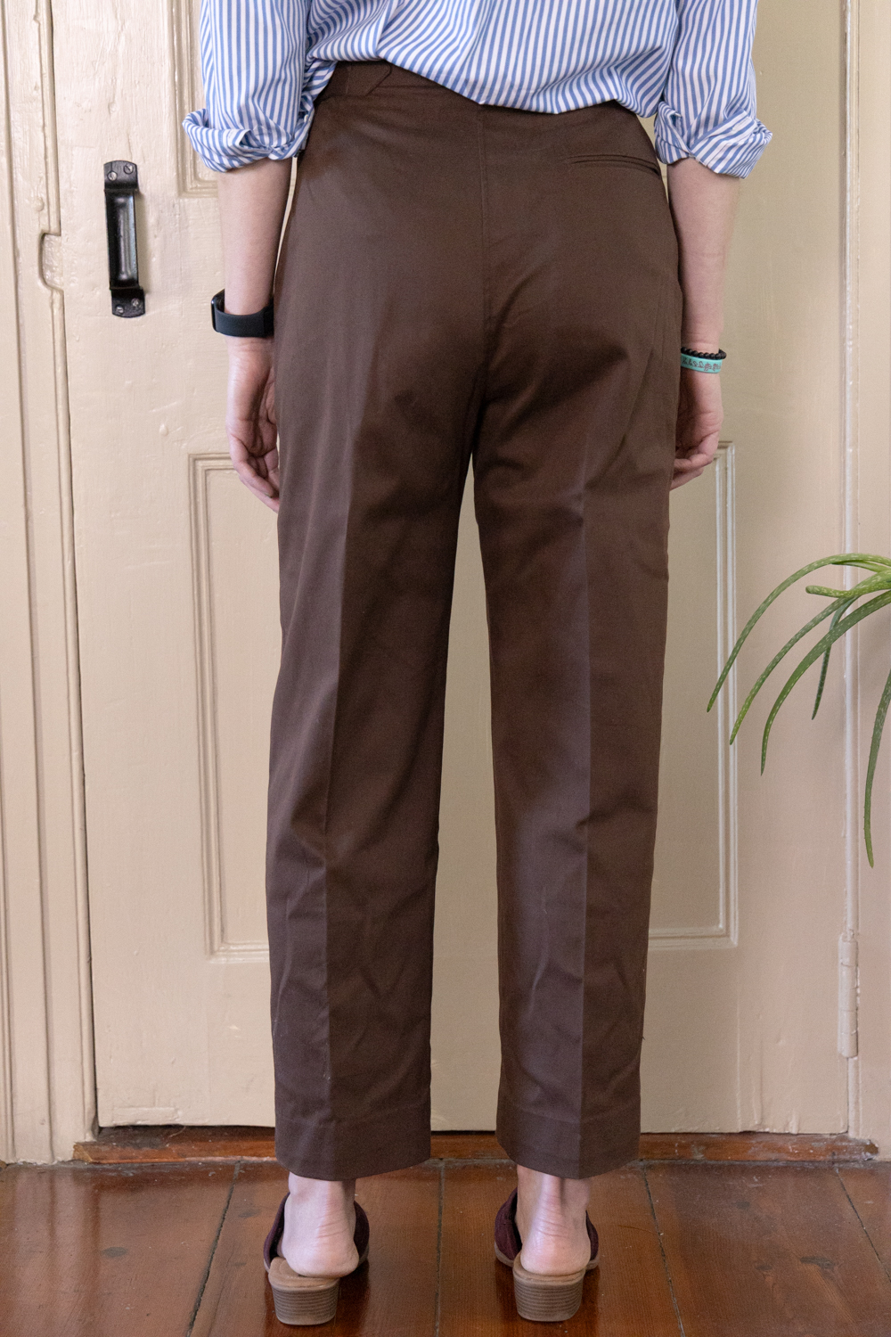 COFFEE STRAIGHT PANTS IN BRUSHED COTTON TWILL 4 COFFEE STRAIGHT PANTS IN BRUSHED COTTON TWILL - Image 4